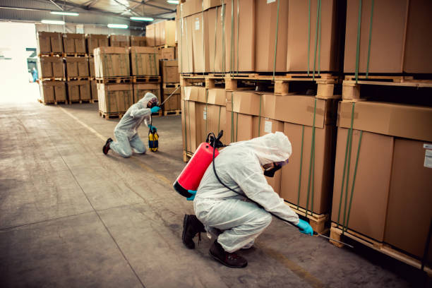 Best Best Pest Control Companies  in Lake Cherokee, TX