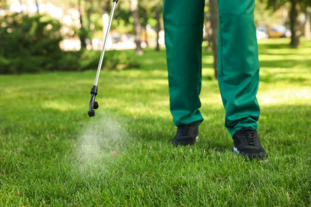 Trusted Lake Cherokee, TX Pest Control Experts