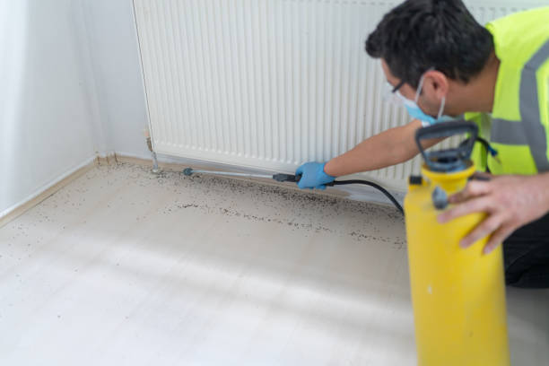 Best Pest Control for Businesses  in Lake Cherokee, TX